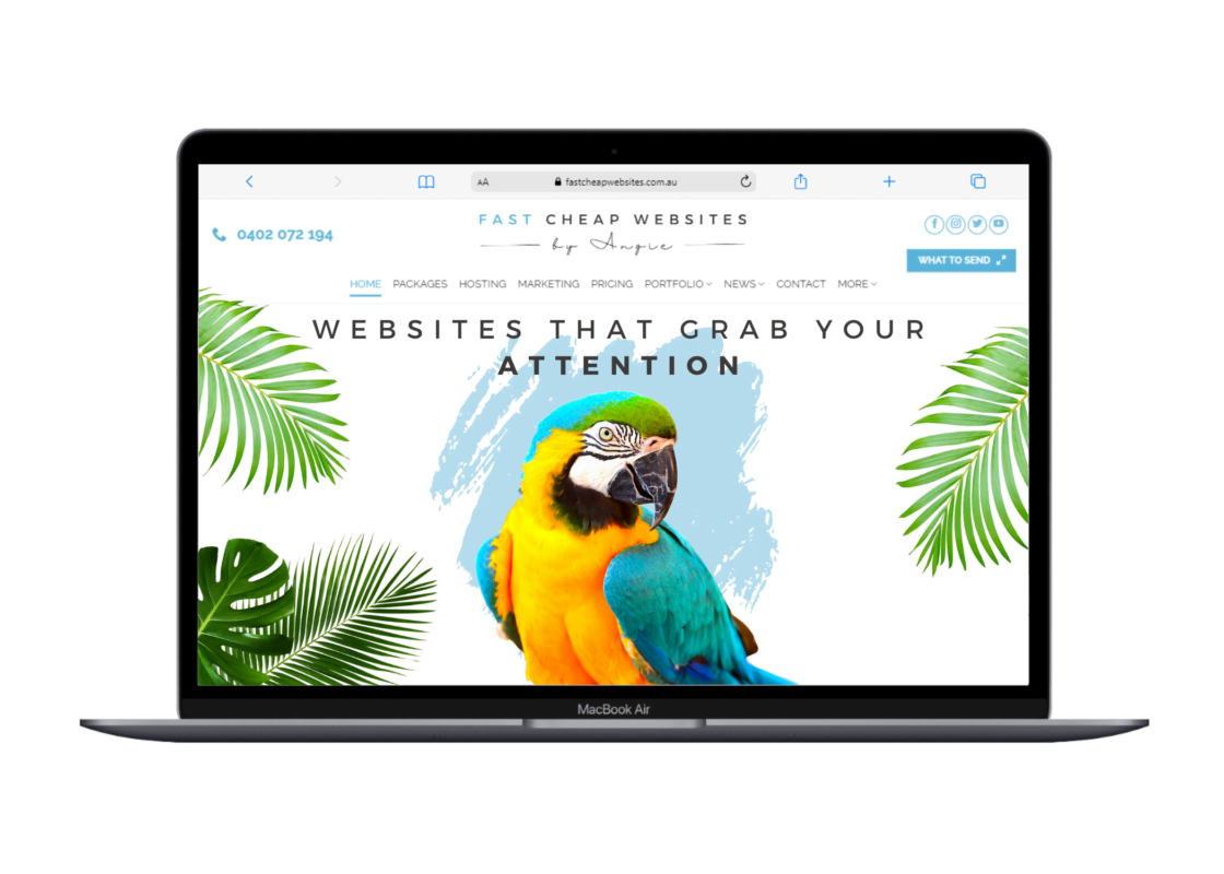 Affordable Website Builders