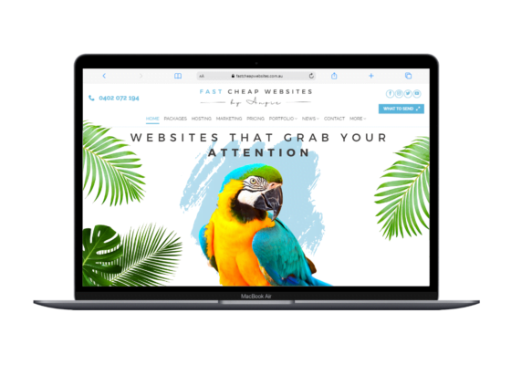 Affordable Website Builders